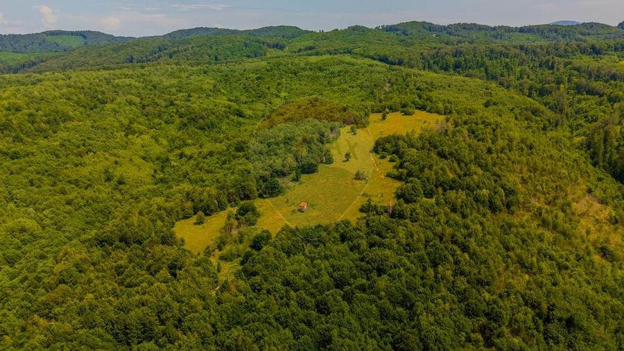 COMISION 0% Teren Grid/Inima Naturii/ Oportunitate de investitie - 8