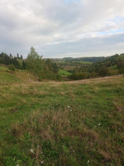 Vand teren intravilan si extravilan Sat Maguri - 3