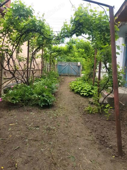 Casa de vanzare 1242 mp teren - 6