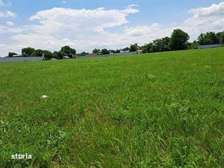 Oportunitate Investi?ionala Rara: Teren Intravilan17.500mp in Tg.Neam? - 9