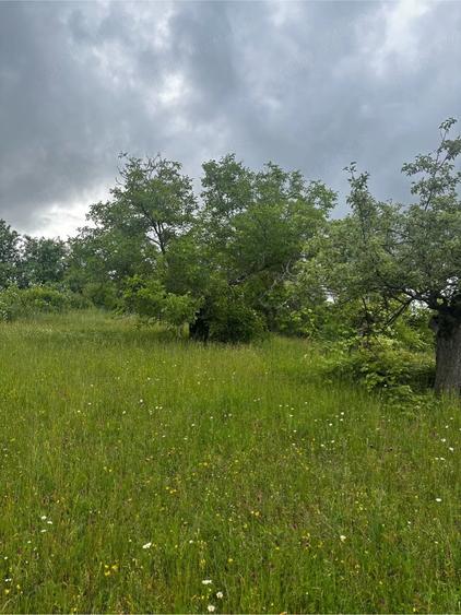 Vand teren intravilan - 3