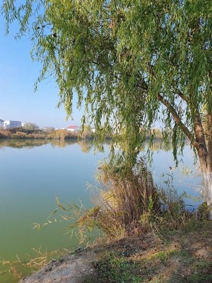 Teren cu fundatie si proiect pe malul lacului - 1