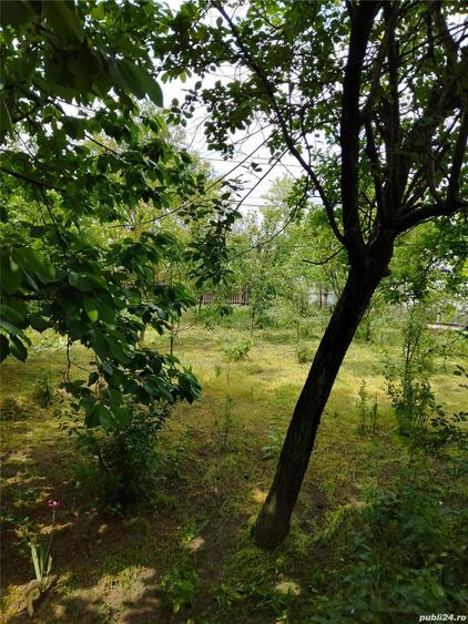 Casa la Glodeanu Silistea Buzau - 8