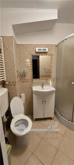 APARTAMENT 1 CAM PODU DE FIER  MOBILAT LIBER - 7