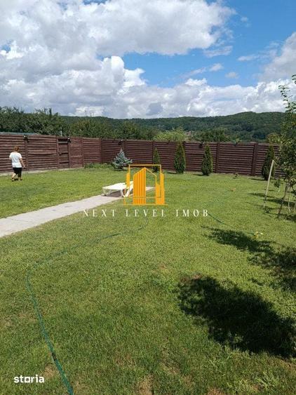 Vila superba BASCOV - Braileni - 17