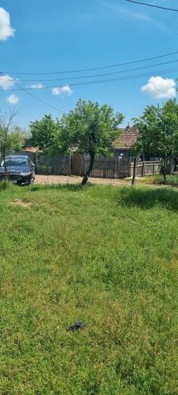 NOU !!! Vind Teren com. Ileana judetul Calarasi !! Discutabil!! - 1