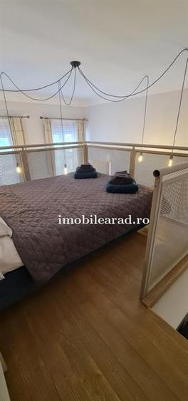 Apartament 60 Euro pe zi, amenajat in stil unic langa Primaria Arad - 7