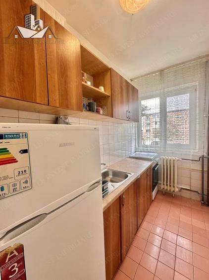 Apartament cu 2 camere- etaj 2 -zona Sagului - 2