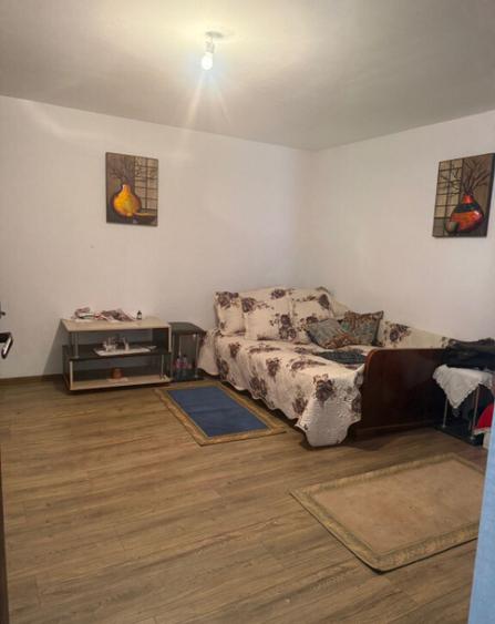 Casa 133 mp utili, 3300 mp teren, Ciutura - 6