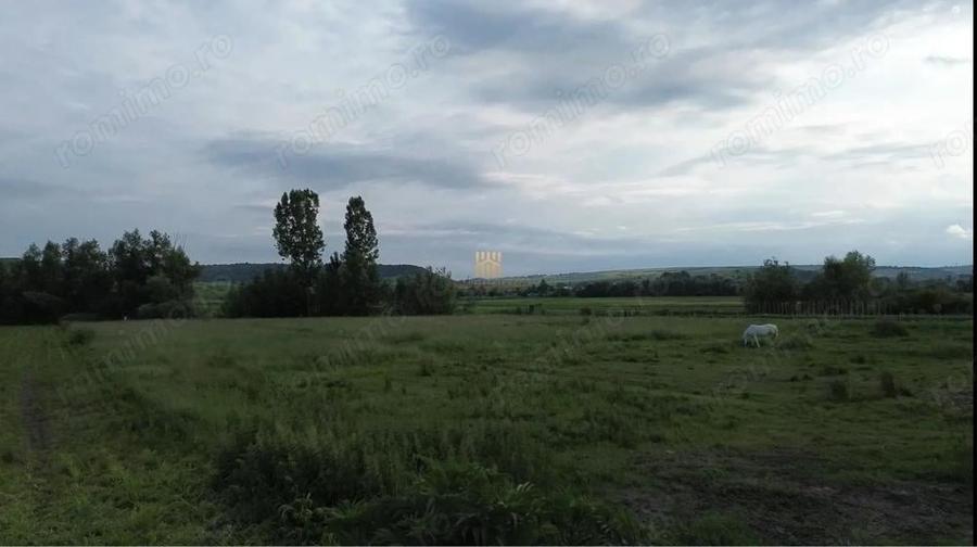 Teren 3953 mp Falticeni Tarna Mare De Vanzare 0727817187 - 2