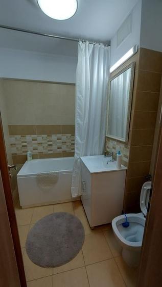 Inchiriere 2 camere, zona centrala, Casa de Cultura - 12