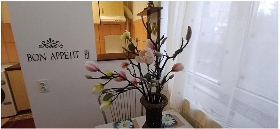 Comision 0! Garsoniera spatioasa Spitalul Judetean - 10