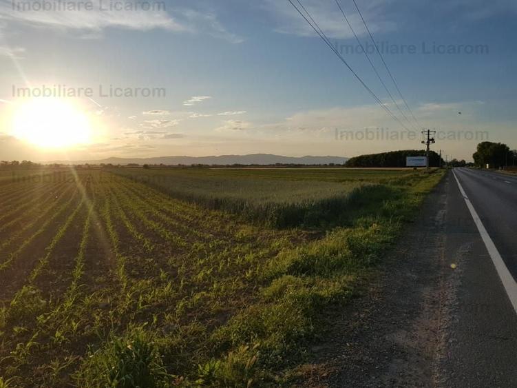 Teren Stupini Calea Feldioarei 4600 mp,21 euro/mp, front la asfalt - 5