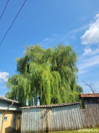 Teren cu casa batraneasca - 3
