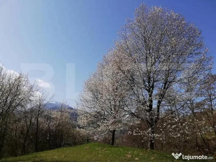 Teren 2500 mp, la strada, Ceahlau,, locatie perfecta - 1