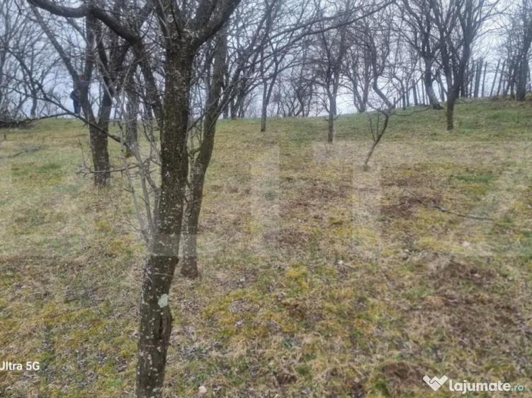 TEREN INTRAVILAN VEDERE PANORAMICA La 2 km de Manastirea CRA - 2
