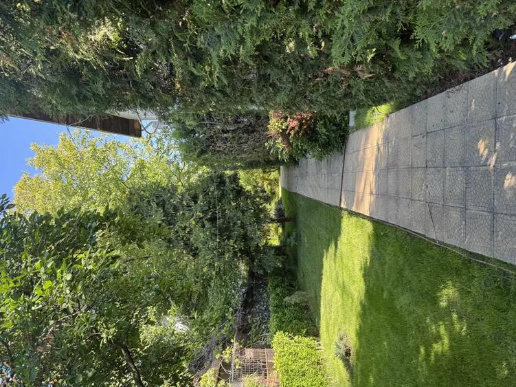 Vand proprietate deosebita in Bragadiru-Prelungirea Ghencea. - 3