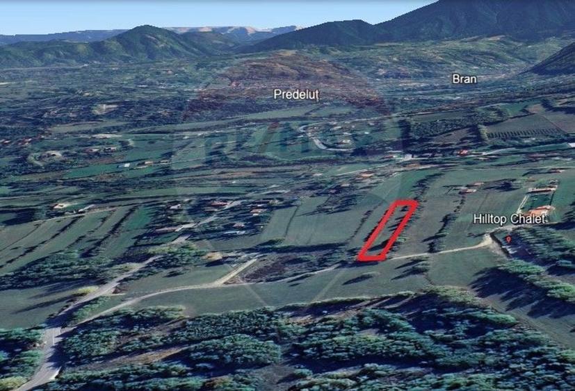 Teren Construcții intravilan de 4223 mp, în Tohănița