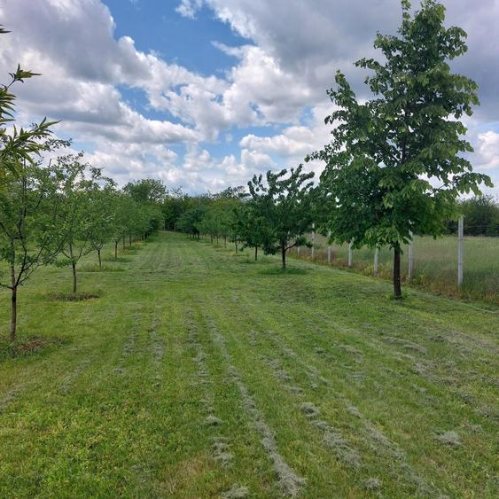 Teren intravilan - 8