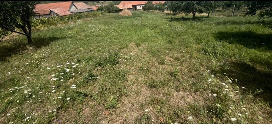 Casa Cricau 3000 mp teren - 7