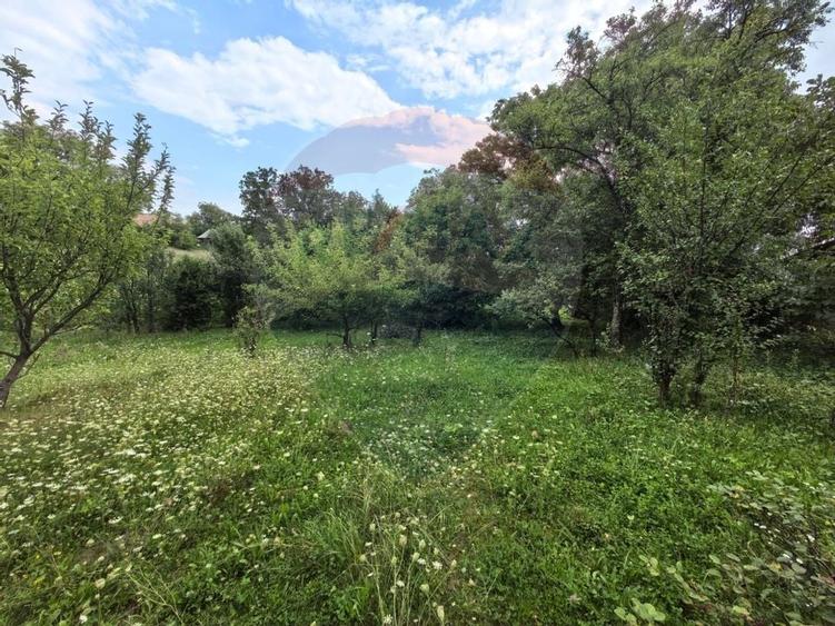 Casa traditionala De Vanzare cu 5 Hectare de teren - 13