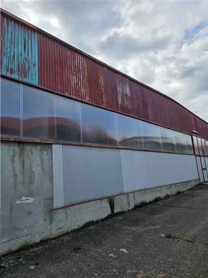 Proprietate Industriala - Productie - Industrie Alimentara - 35