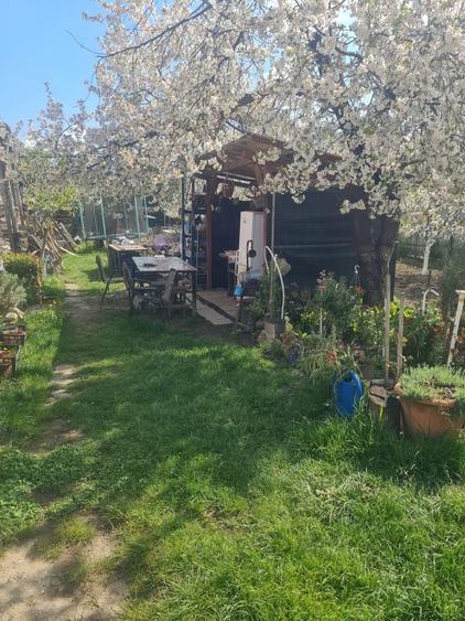 Casa batraneasca - cartierul CFR - 8