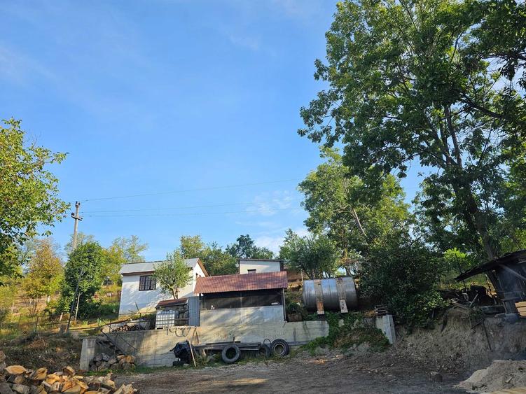 Casa si spatiu comercial - 3