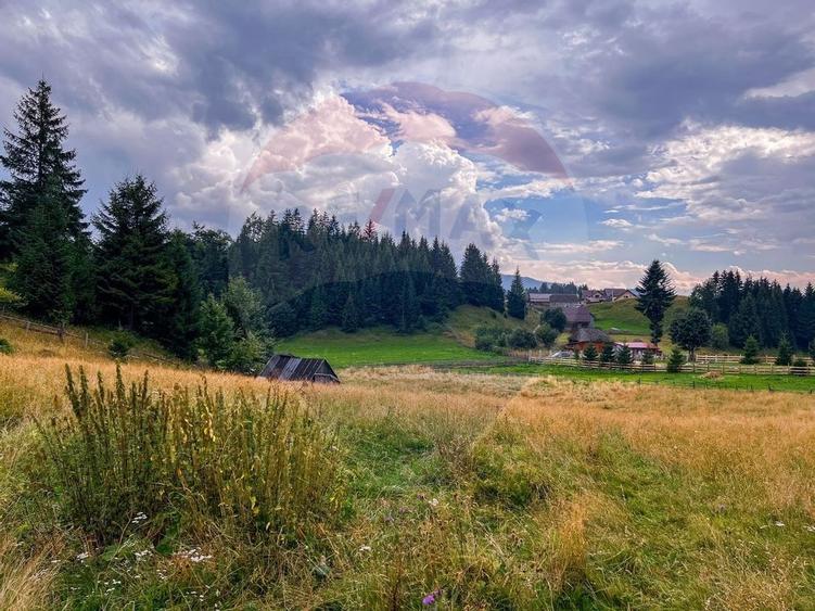 Teren de 7830mp de vanzare in Fundata! Comision 0% - 20