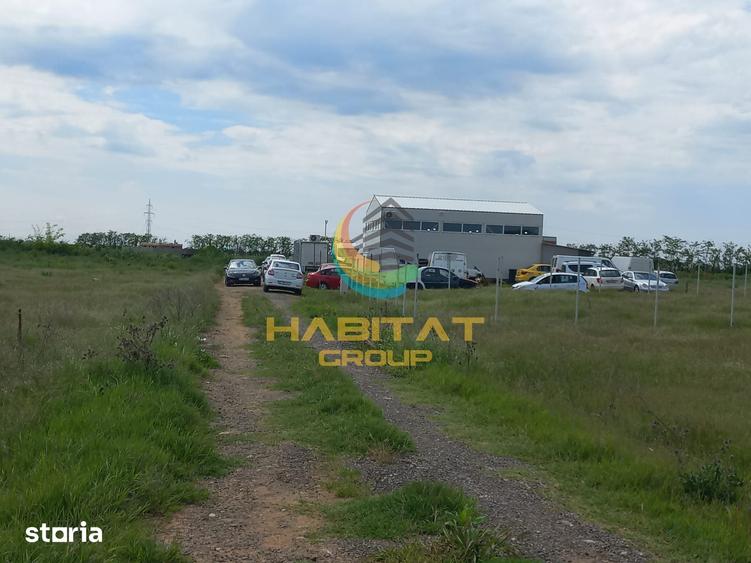 Teren de 350 mp, în Vidra
