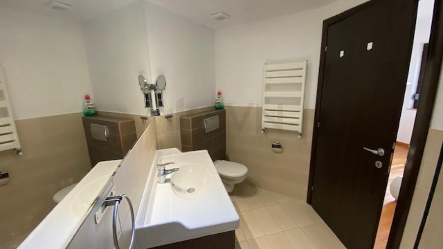 REA1008147 Penthouse 5 camere superb-vedere directa Herastrau - 15