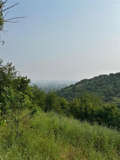 RECO Terenuri intravilane+ Teren Extravilan 8200 mp, Cartier Podgoria - 8