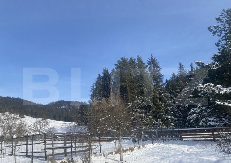 Vanzare 2 case tradi?ionale, 3 camere + teren, 3450 mp, Ca - 14