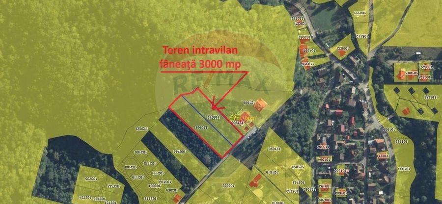 Teren intravilan, 3000 mp, Dambu Morii - 10