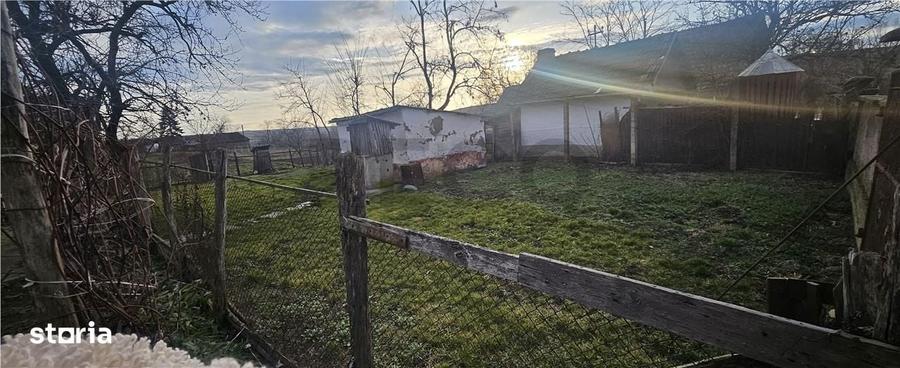 RECO. Teren intravilan de vanzare in Cetariu - 10