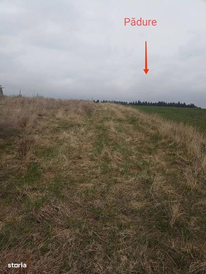 De vanzare teren intravilan in Lacul Reci - 4