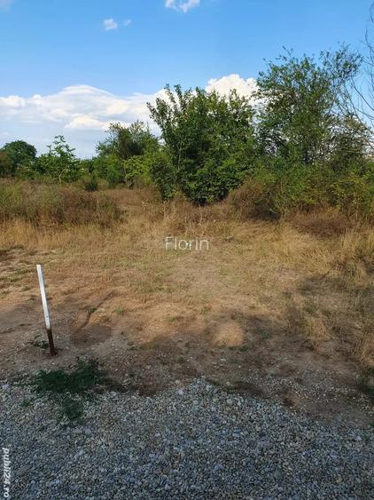 Teren pentru casa de 1021 mp in Scrovistea Teren pentru casa de 1021 mp in Scrovistea