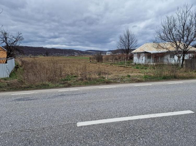 Teren intravilan in Sanduleni/Bacau de vanzare - 10