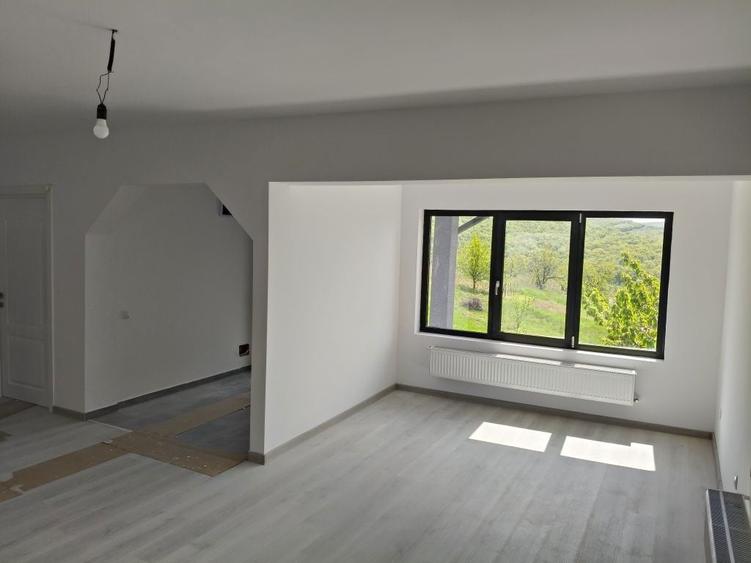 Vila casa Tomesti - 2