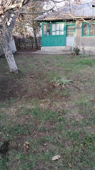 Vand casa batraneasca si teren cu livada. - 4