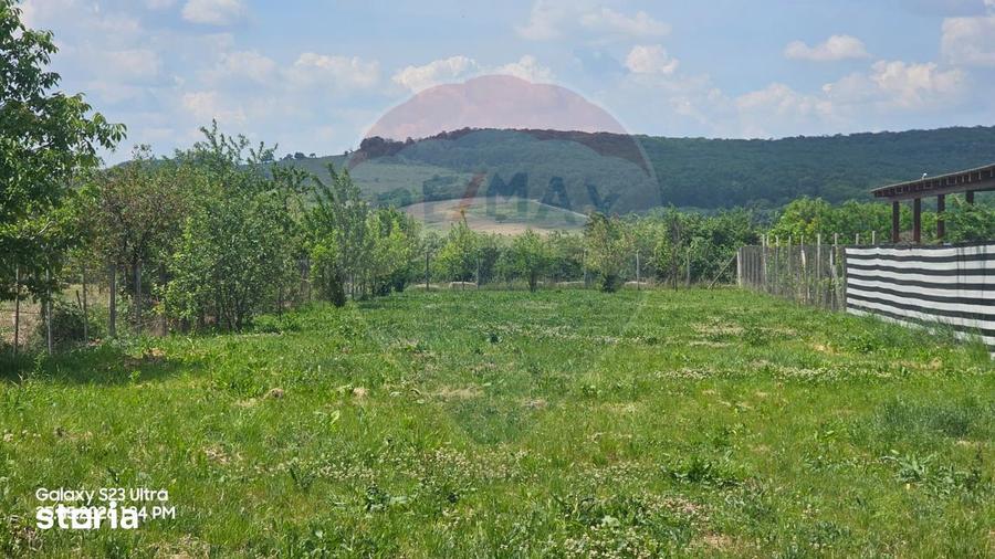 De vanzare teren intravilan 1,186mp Ineu -Strada Principala - 9