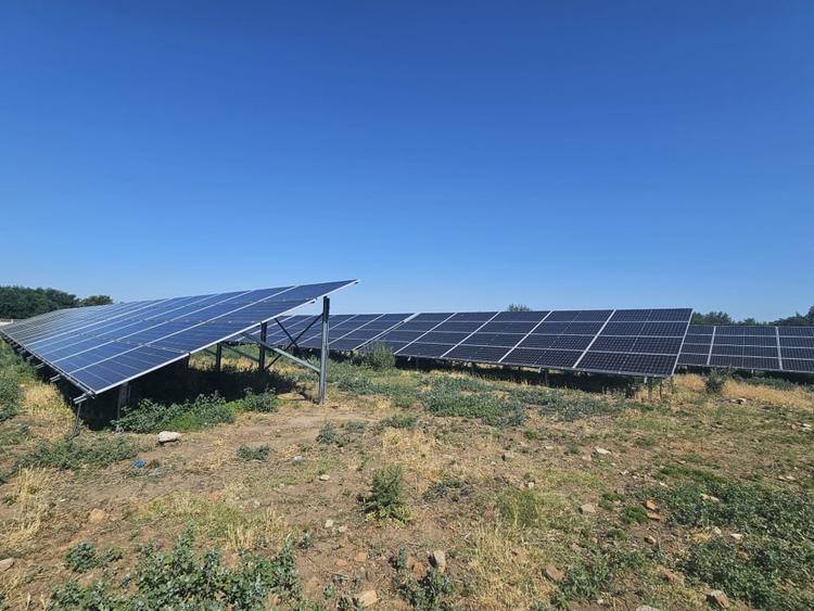 Proprietate agroindustriala, hala 1590 mp, teren 28000 mp, panouri 398 kWp - 6