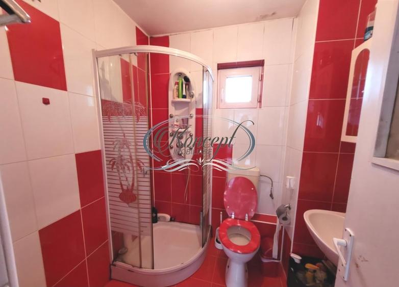 Proprietate versatila cu garaj si teren in Someseni - 11