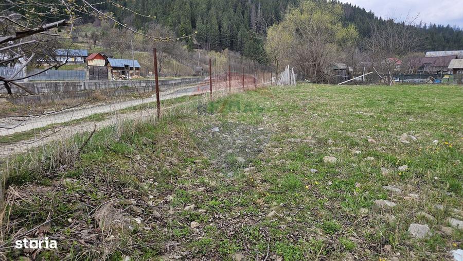 Teren 1,520mp Hangu / Strada Principala - 7