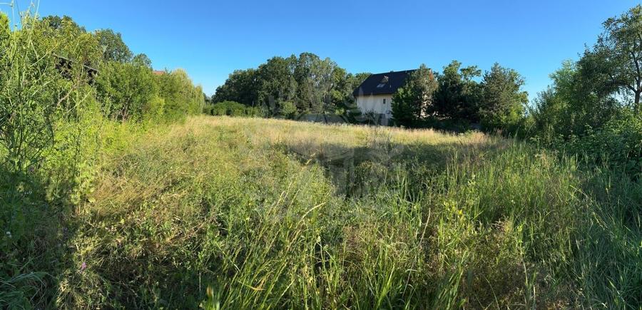 TEREN INTRAVILAN //GAGENI//PAULESTI - 6