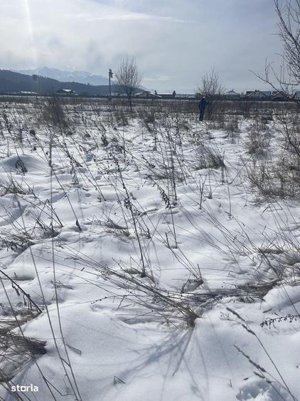 TEREN IDEAL PENTRU CASA VISURILOR TALE - 2