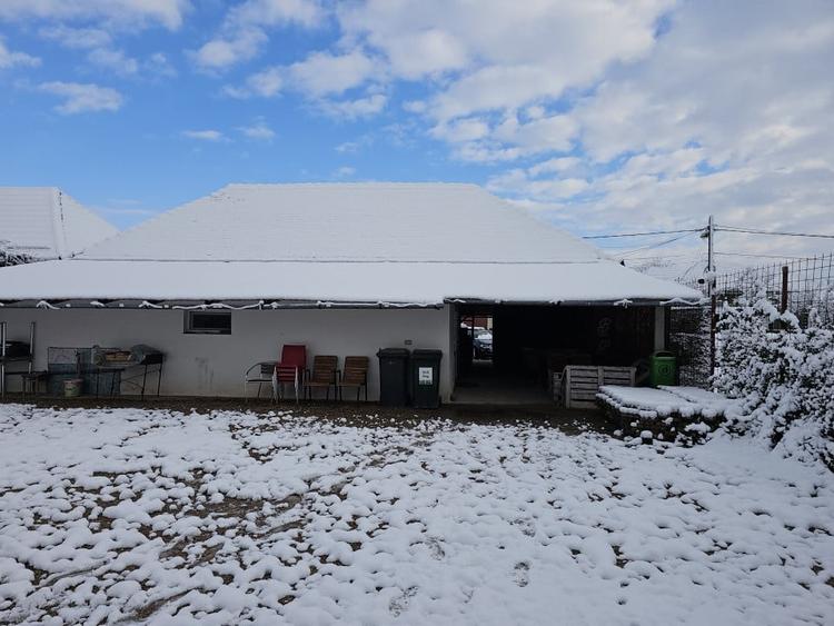 Spatiu comercial cu o suprafata de 150 mp, Suplacu de Tinca, Bihor - 2