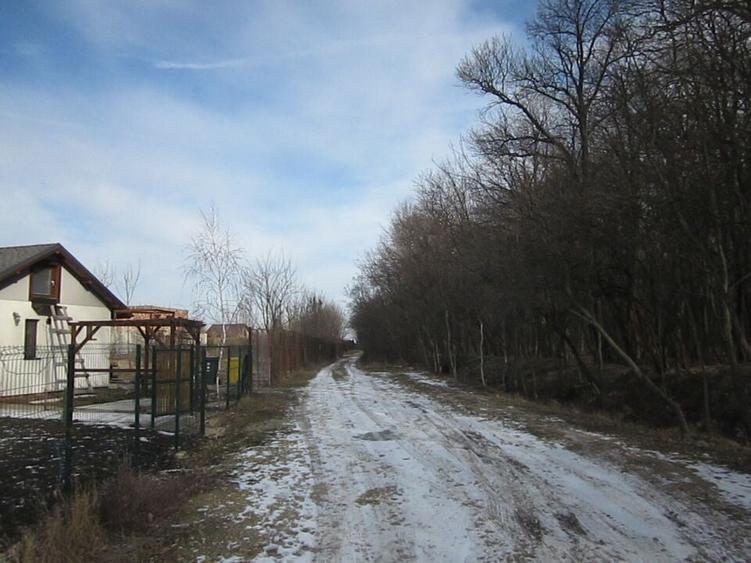 Domnesti-Teghes-Padure - 3