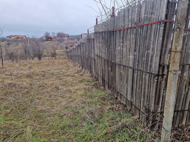 Teren Intravilan Drumul Muntenilor - 2