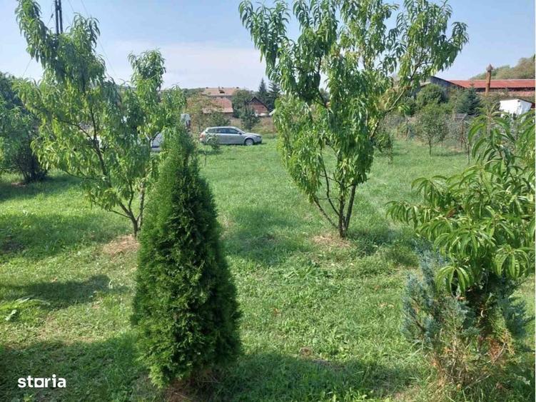 Casa spatioasa langa Targu Mures - 7